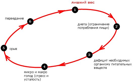 диета доктора аткинса рецепты